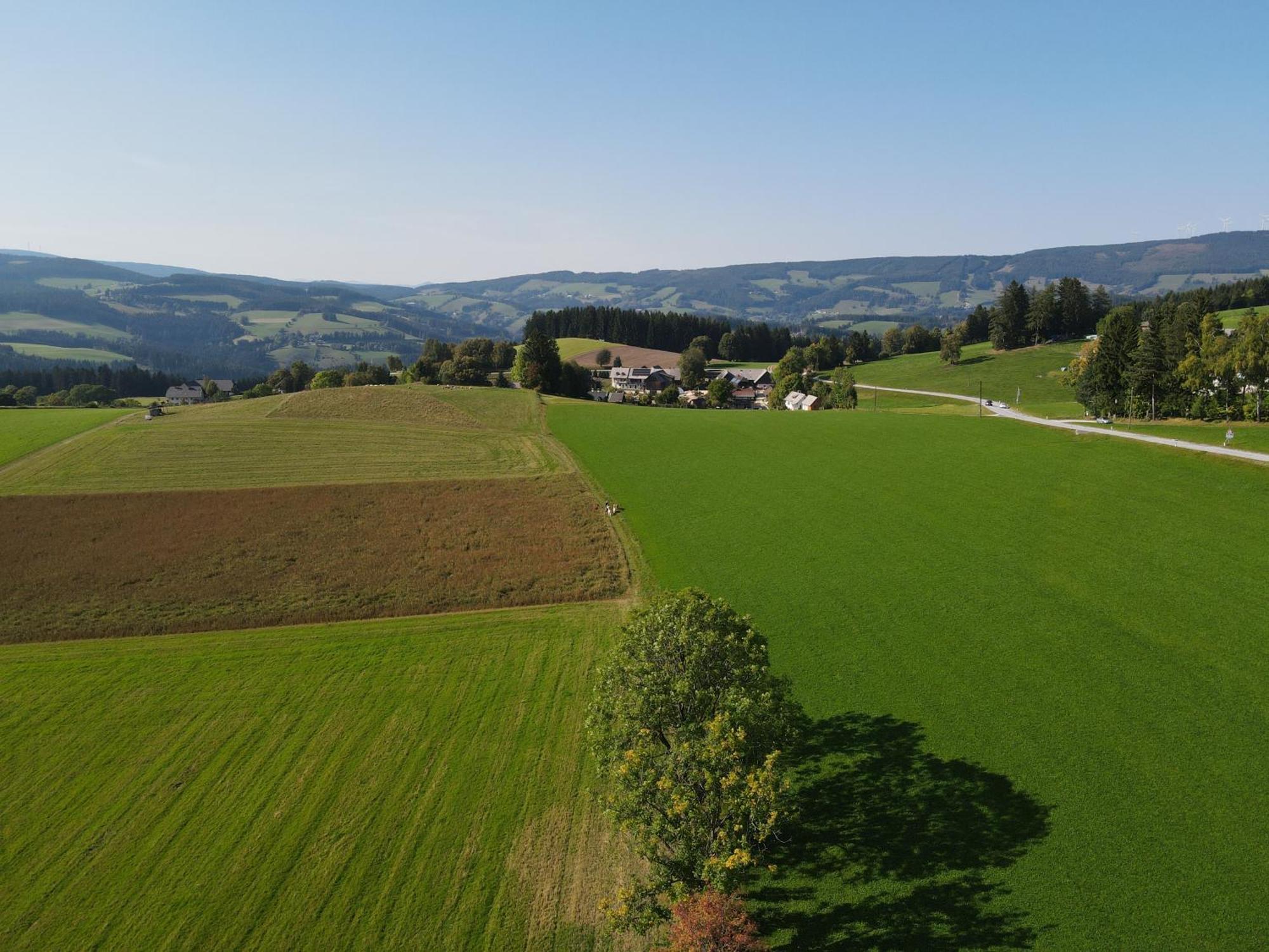 Biohof Kroisleitner Sankt Jakob im Walde Luaran gambar