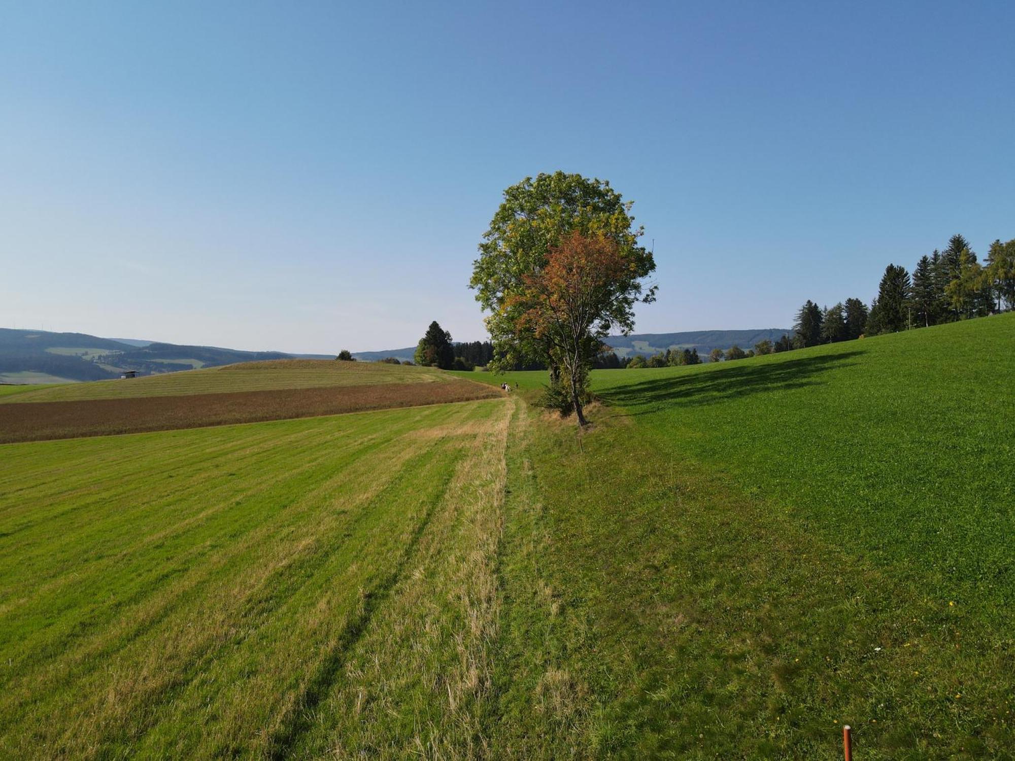 Biohof Kroisleitner Sankt Jakob im Walde Luaran gambar